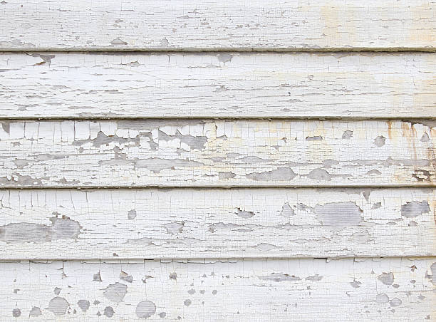 Reliable Casselberry, FL Junk Removal Solutions